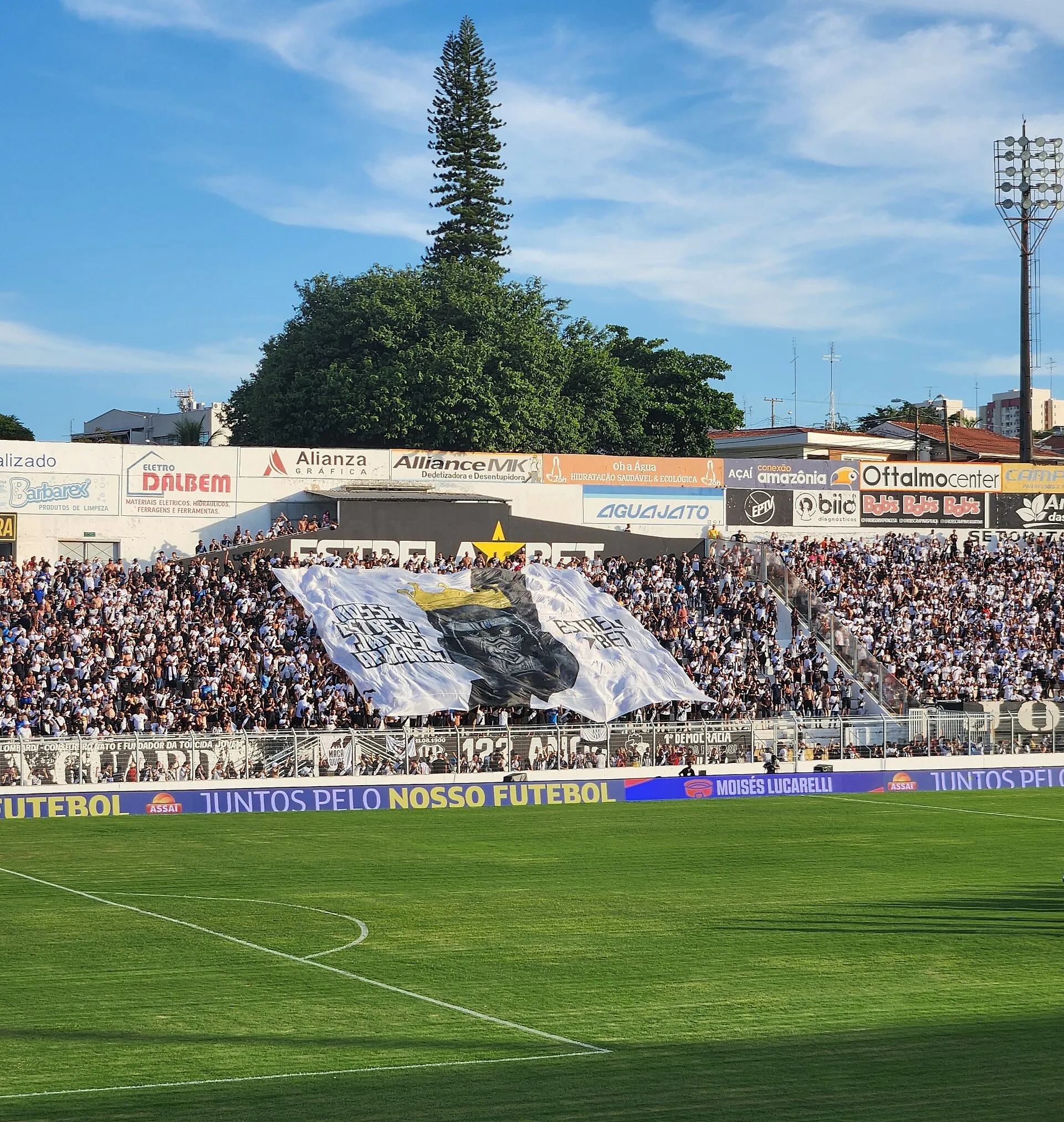 Estádio Moisés Lucarelli com campo de futebol, arquibancadas e árvore ao fundo em dia ensolarado
