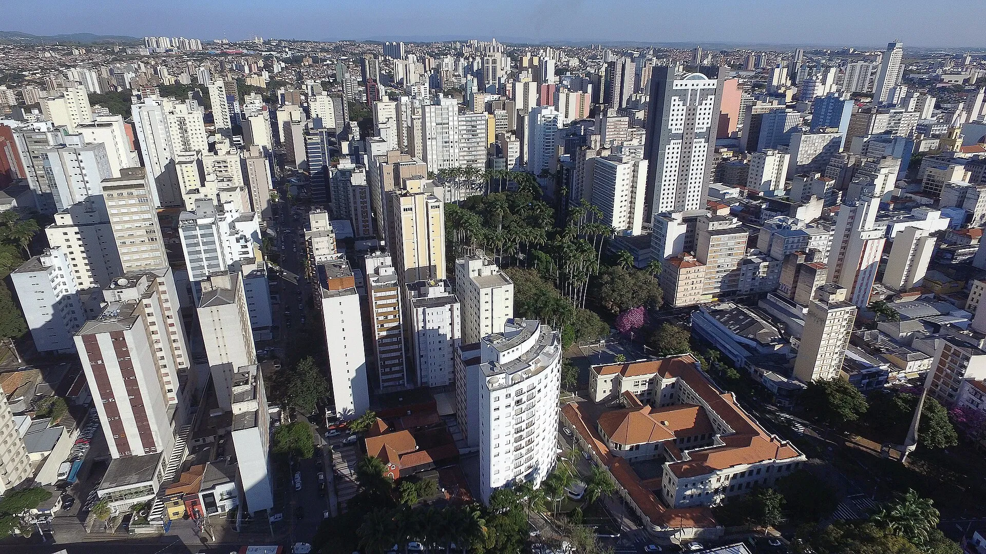 Rua do Centro de Campinas com edifícios comerciais, árvore e pedestres ao fundo em dia ensolarado