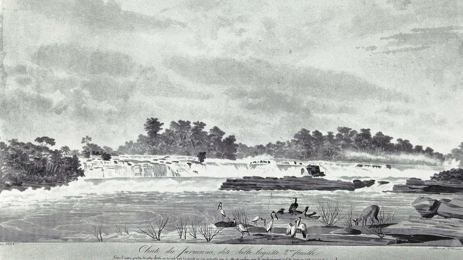Desenho de Hercule Florence de 1828, feito na Expedição Langsdorff, com a cachoeira do Salto Augusto, no rio Juruena, e aves e um veado na margem