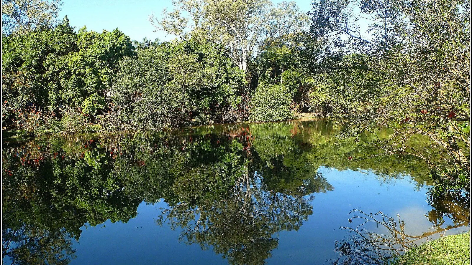Lago do Café, no Taquaral, em Campinas, com árvores refletidas na água em dia de sol