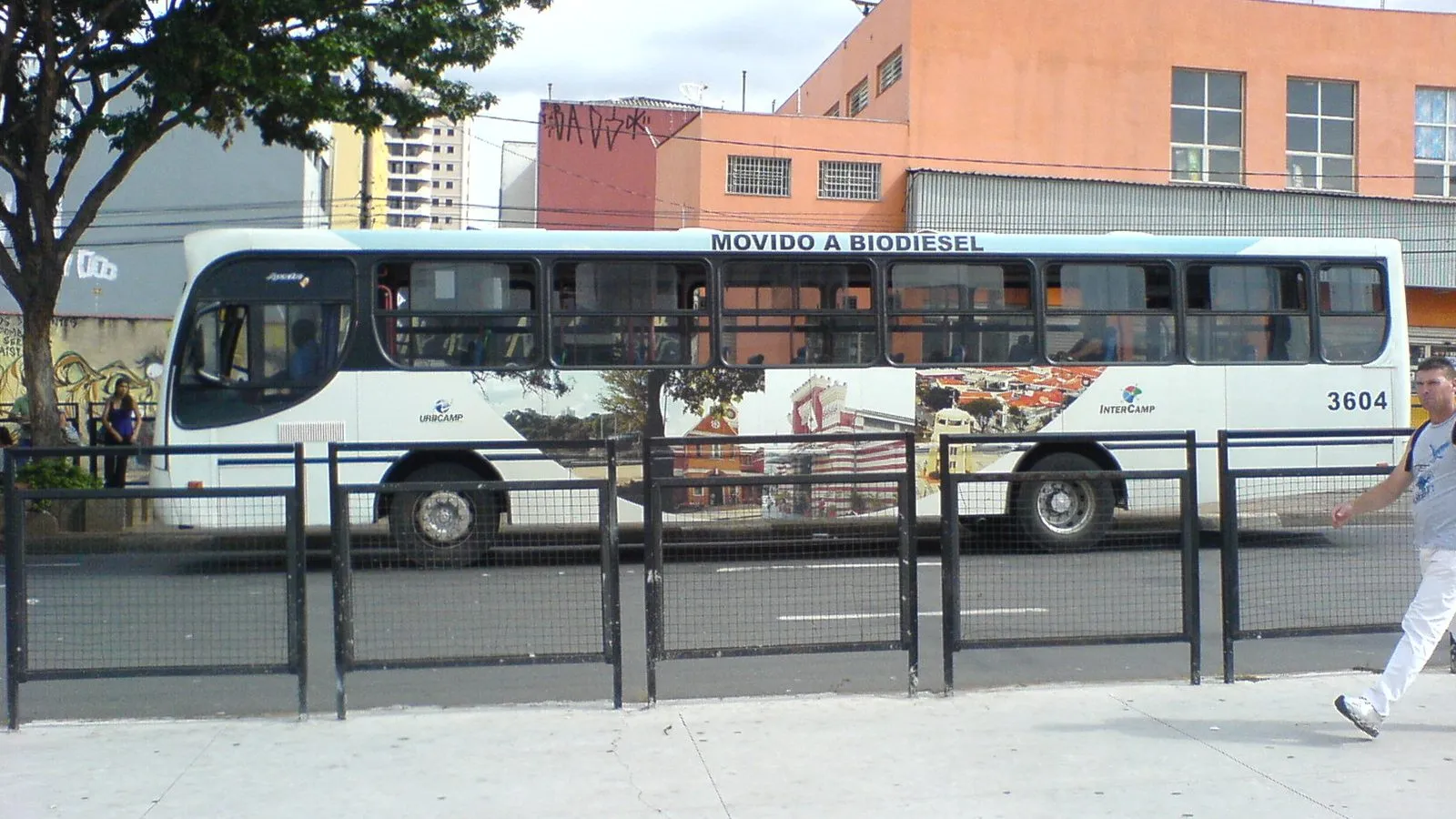 Ônibus municipal circulando na Avenida Moraes Salles, no Centro de Campinas