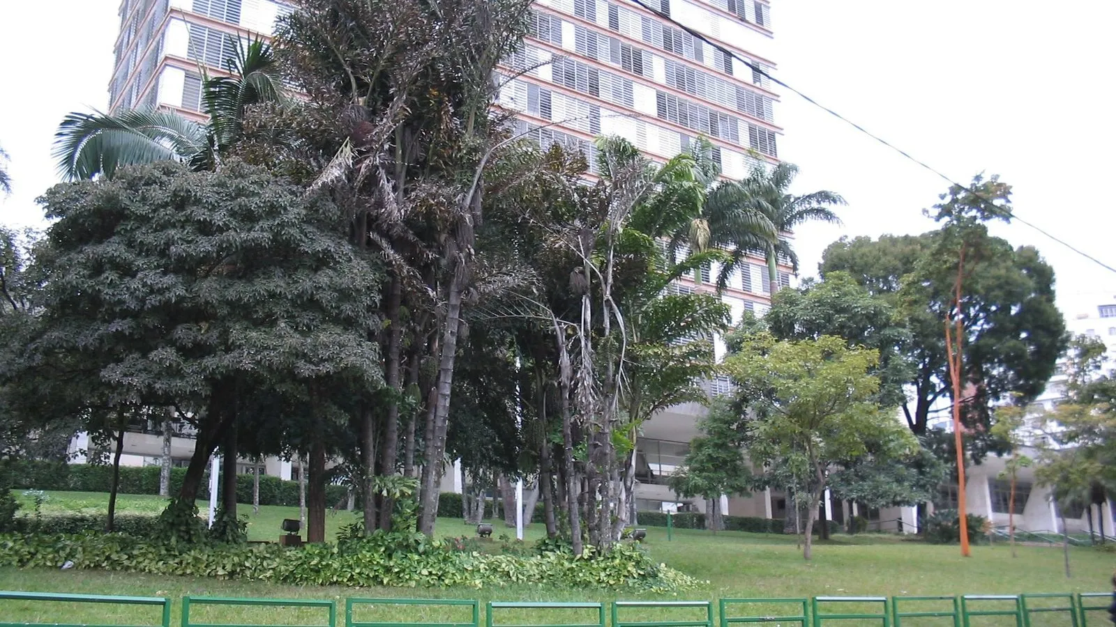Torre do Palácio dos Jequitibás, sede da Prefeitura de Campinas, vista atrás das árvores do jardim