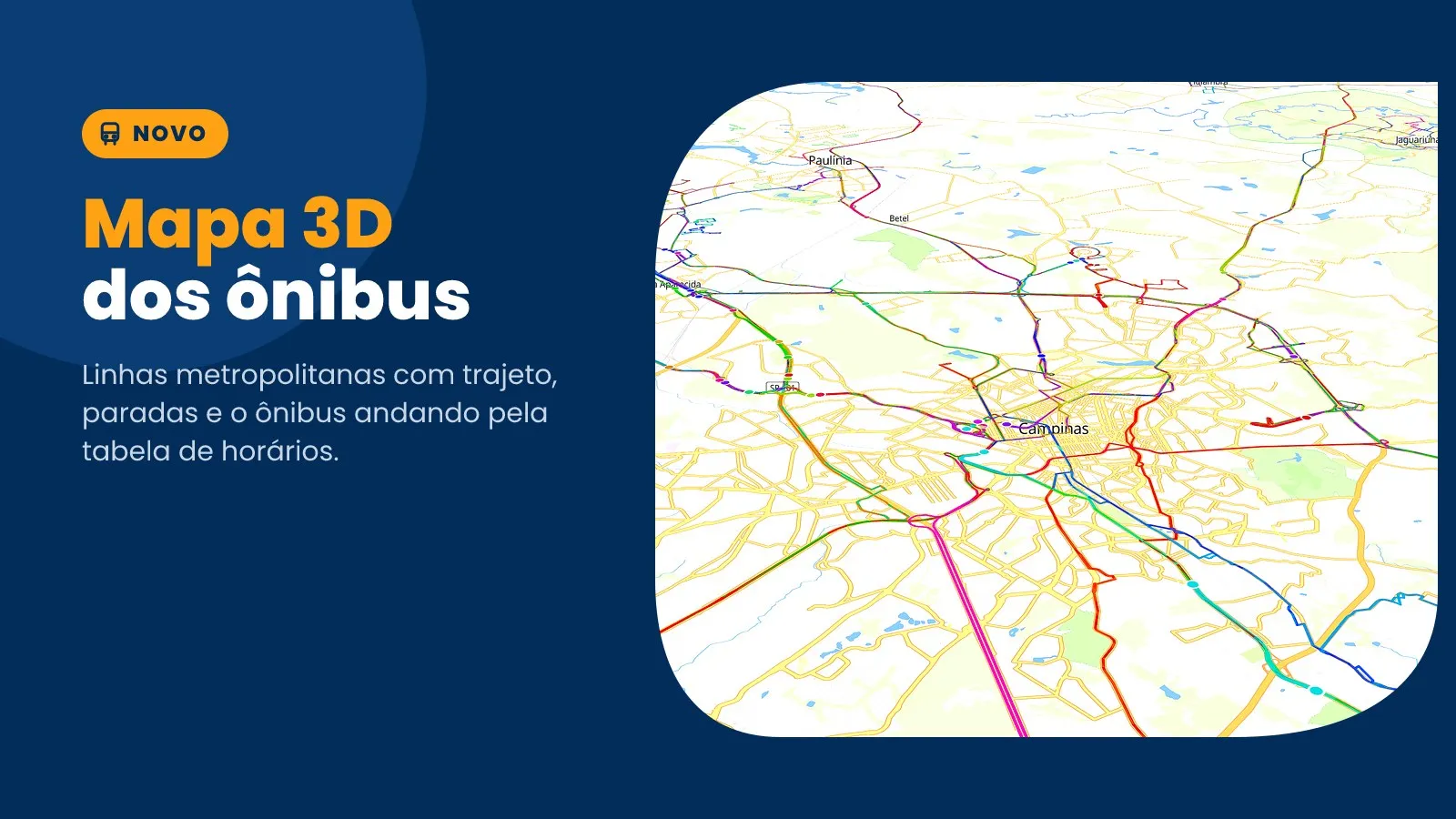 Mapa com as linhas de ônibus coloridas ligando Campinas às cidades vizinhas