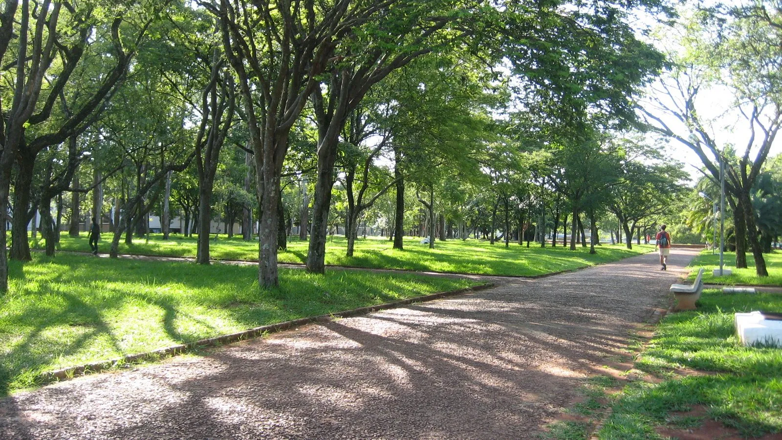 A praça do Ciclo Básico, no coração do campus.